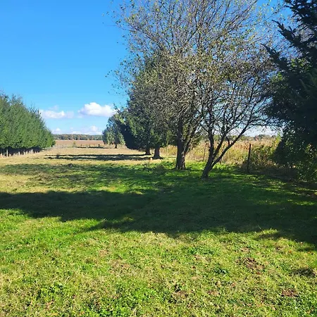 Birsalmafa Vendeghaz Апартаменты *