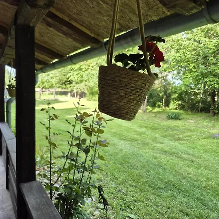 Birsalmafa Vendeghaz *