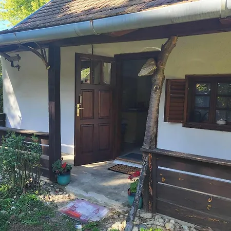 Birsalmafa Vendeghaz * Bajansenye