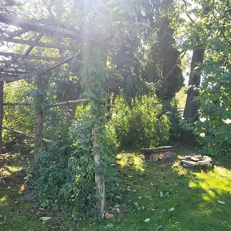 Апартаменты Birsalmafa Vendeghaz Bajansenye