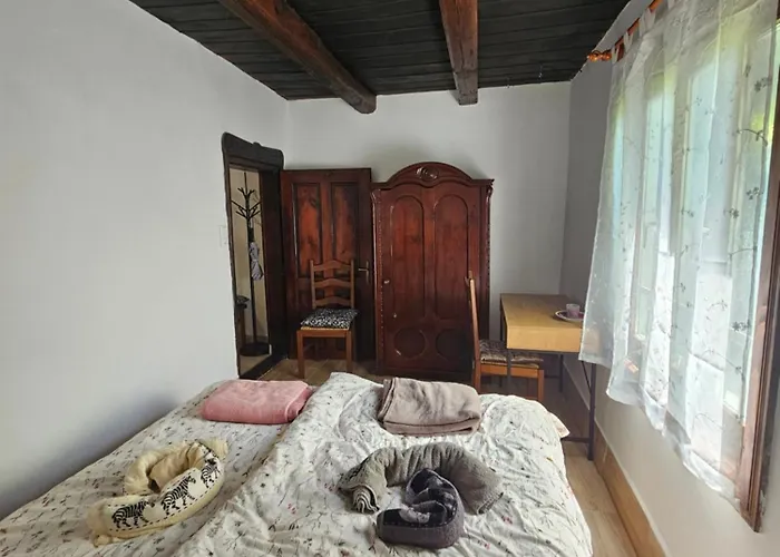 Apartament Birsalmafa Vendeghaz *