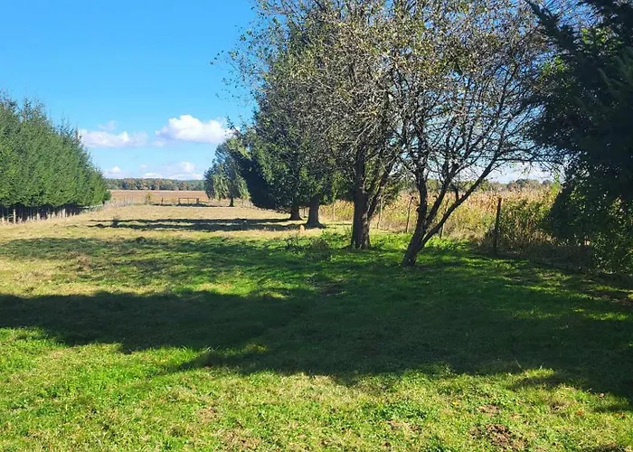 Birsalmafa Vendeghaz Apartament *