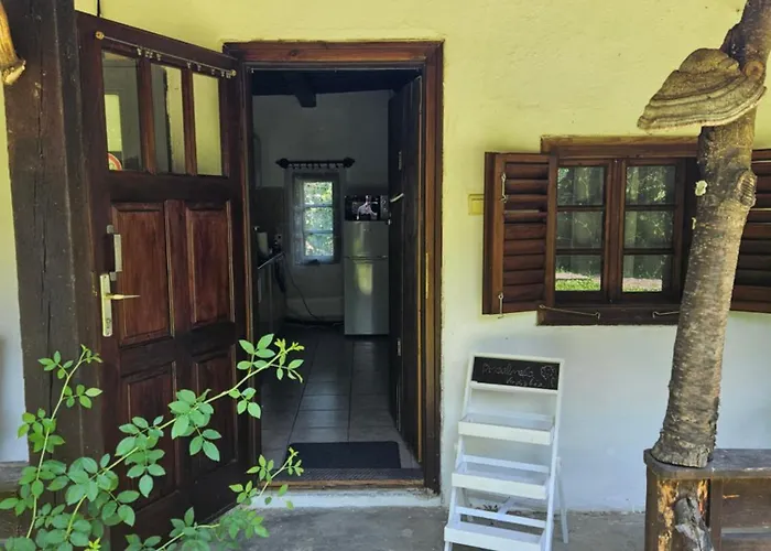 Apartament Birsalmafa Vendeghaz