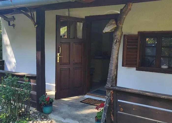 Birsalmafa Vendeghaz * Bajánsenye