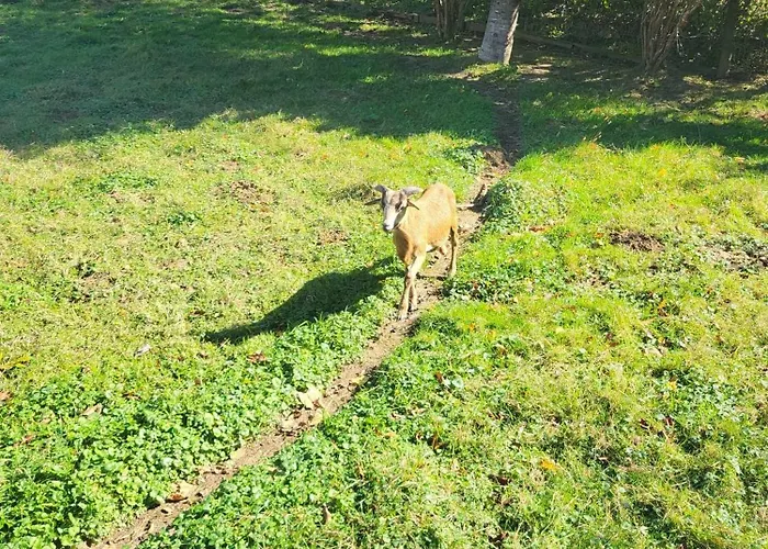 Birsalmafa Vendeghaz Apartament Bajánsenye